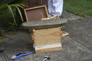 Transferring into hive
